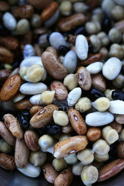 Colorful dried beans — Stock Photo