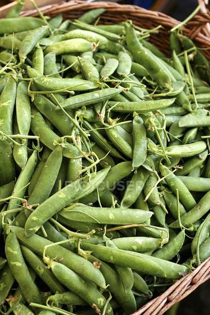 Basket of pea pods — Stock Photo