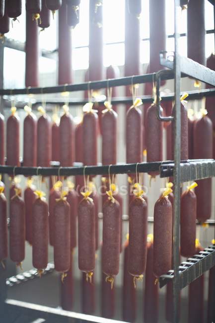 Game sausages hanging — Stock Photo