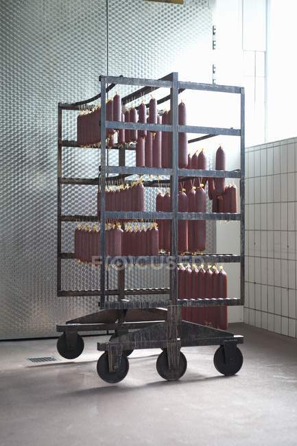 Game sausages hanging on a rack near window — Stock Photo