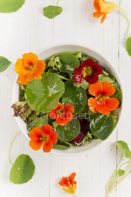 Vista close-up de salada colorida com flores de agrião de água e folhas — Fotografia de Stock