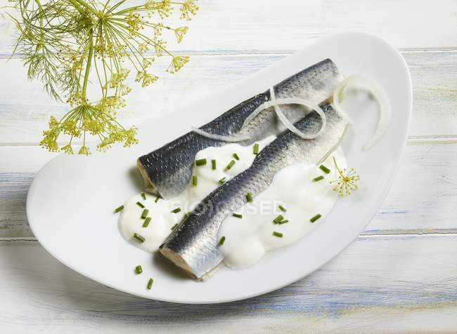 Herring fillets with sauce — Stock Photo