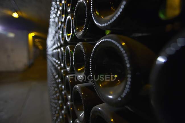 Vista close-up de fundos de garrafa em um corredor de uma adega — Fotografia de Stock