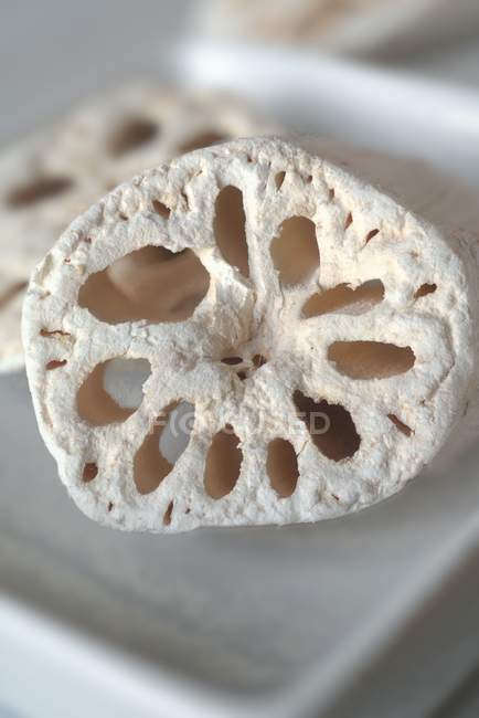 Eine getrocknete Lotuswurzel auf weißem Teller — Stockfoto