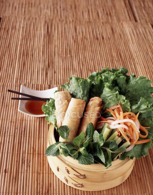 Vegetarian spring rolls — Stock Photo