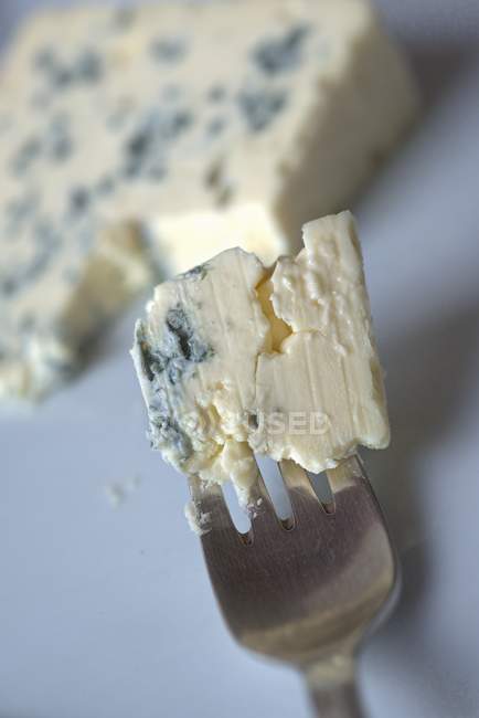 Blue cheese on fork — Stock Photo