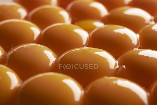 Gemas de ovos em bruto — Fotografia de Stock