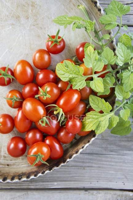 Fresh ripe tomatoes with leaves — Stock Photo