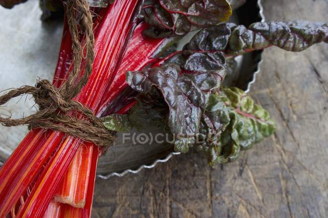 Pacote de acelga vermelha fresca — Fotografia de Stock