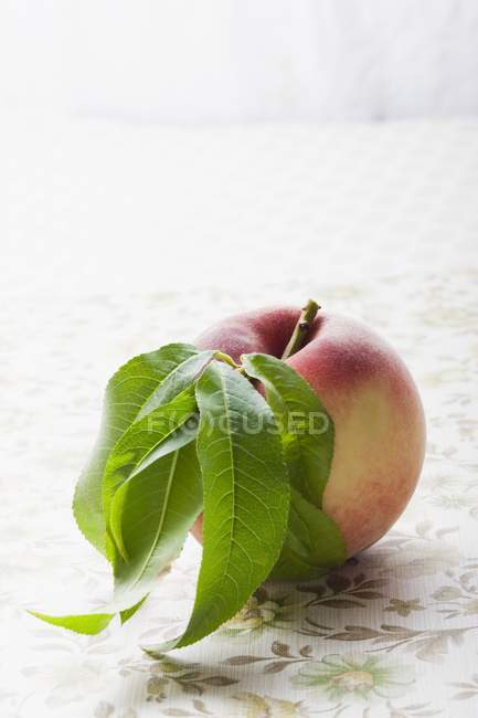 Melocotón blanco con hojas - foto de stock