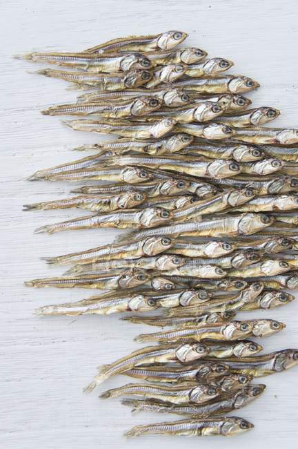 Vista de close-up de peixes secos dispostos na superfície branca — Fotografia de Stock