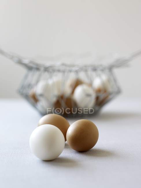 Brown and white eggs — Stock Photo