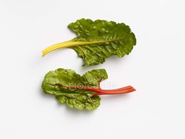 Fresh red and yellow chard leaves — Stock Photo