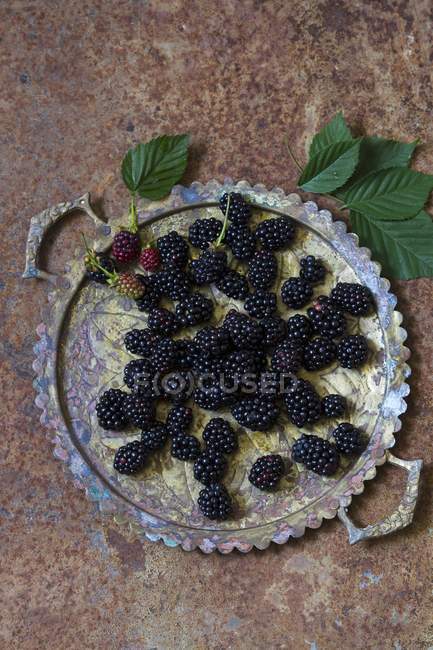 Fresh blackberries on metal tray — Stock Photo
