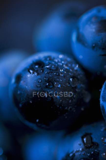 Bleuets fraîchement lavés — Photo de stock