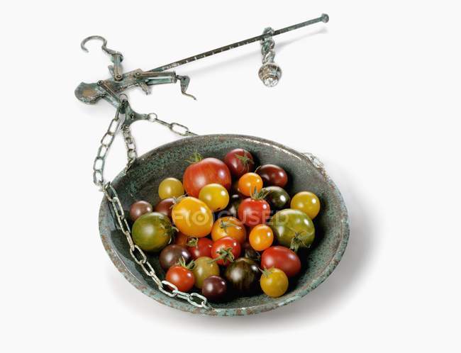 Tomates silvestres coloridos - foto de stock