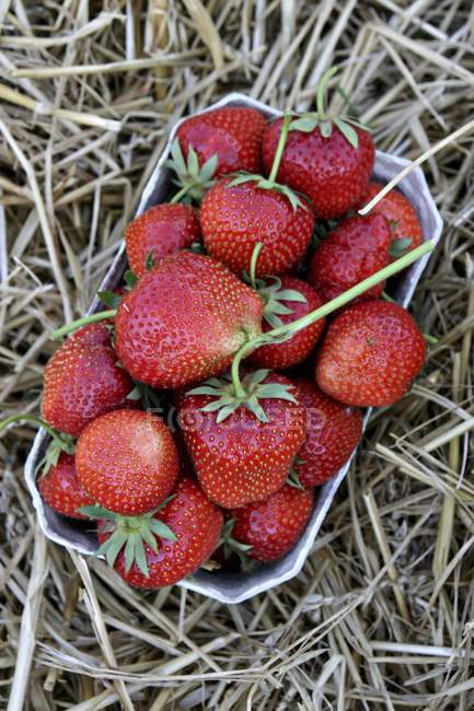 Strawberries in paper punnet — Stock Photo