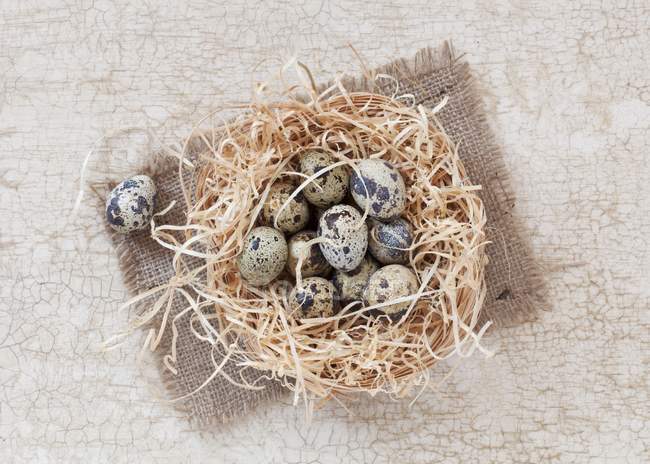 Перепелиные яйца в соломе — стоковое фото