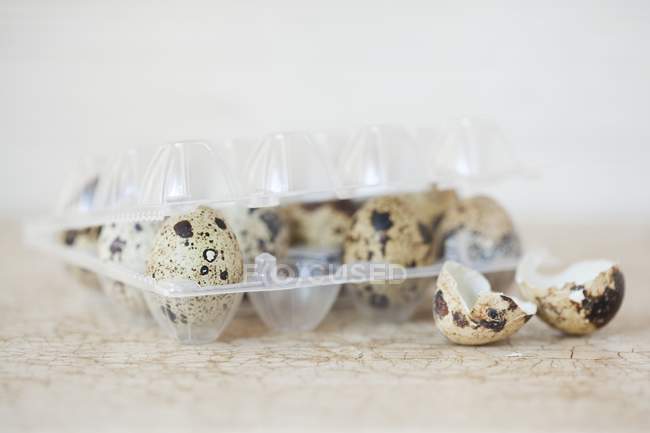 Ovos de codorna em caixa de ovo — Fotografia de Stock