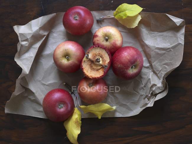 Красные яблоки на листе бумаги — стоковое фото