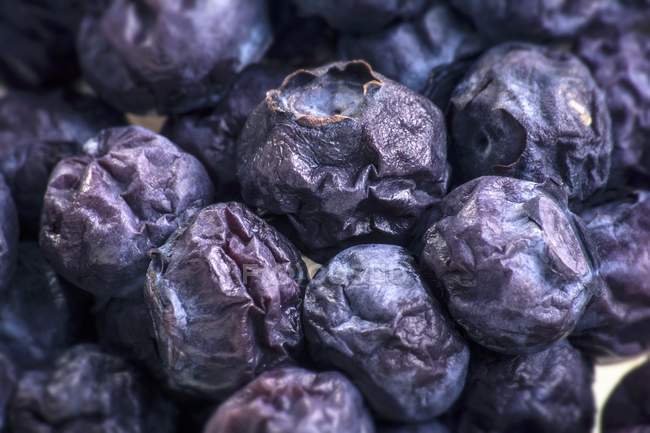 Mouldy blueberries,close-up — Stock Photo