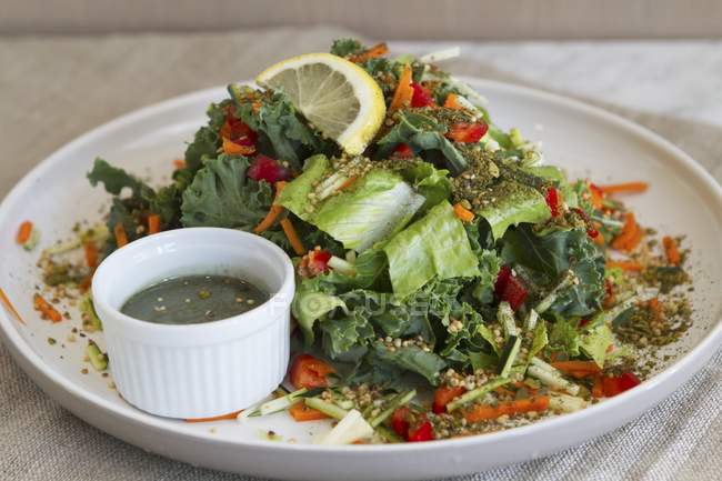 Salada de couve com cenouras — Fotografia de Stock