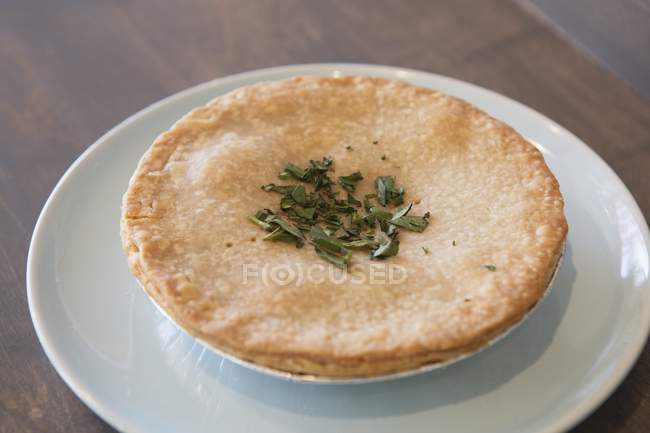 Vista de primer plano de pastel de langosta con hierbas en platos blancos - foto de stock