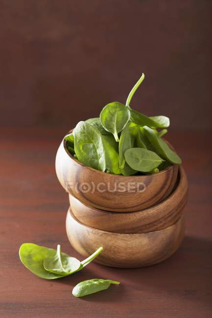 Folhas de espinafre frescas — Fotografia de Stock