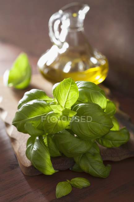 Folhas frescas de manjericão e azeite — Fotografia de Stock