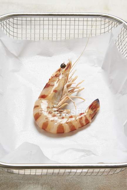Vista elevada de um camarão rei em uma cesta de arame forrado de papel — Fotografia de Stock