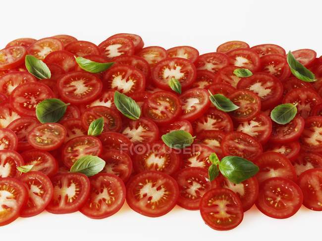 Rodajas de tomate y hojas de albahaca - foto de stock