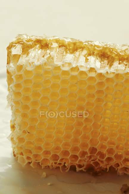 Savoureux nid d'abeille doré — Photo de stock