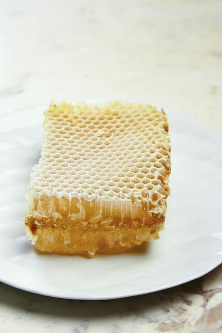 Honeycomb on white plate — Stock Photo