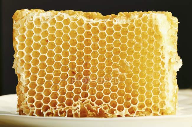 Favo de mel em uma placa branca — Fotografia de Stock