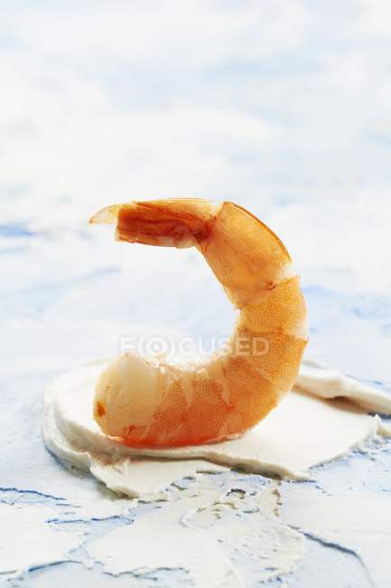 Closeup view of cooked king prawn tail — Stock Photo