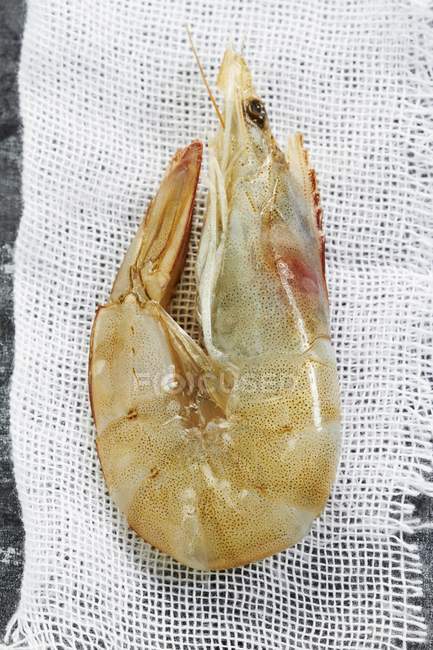 Closeup top view of one raw king prawn on cloth — Stock Photo