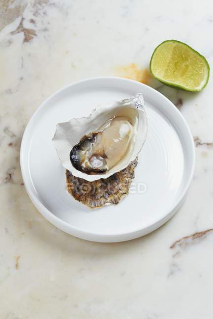 Primo piano vista di ostrica con limone — Foto stock