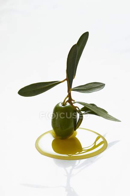 Green olive with a sprig — Stock Photo