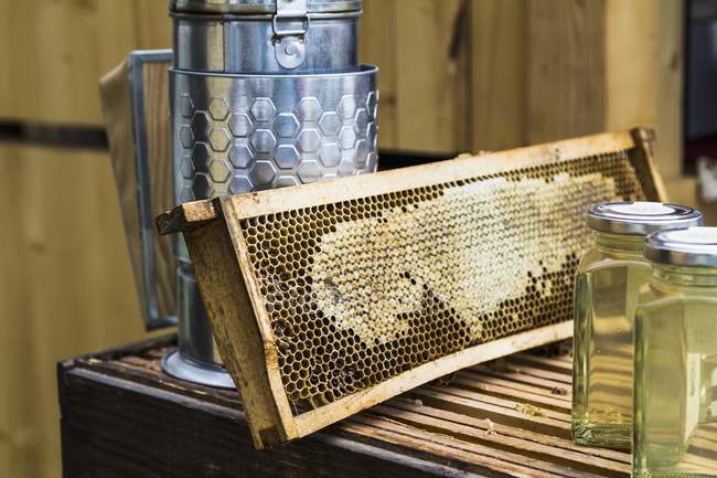 Honeycomb and beekeeping equipment — Stock Photo