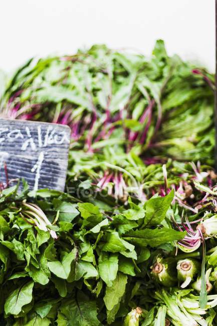 Свіжий салат на фермерському ринку — стокове фото
