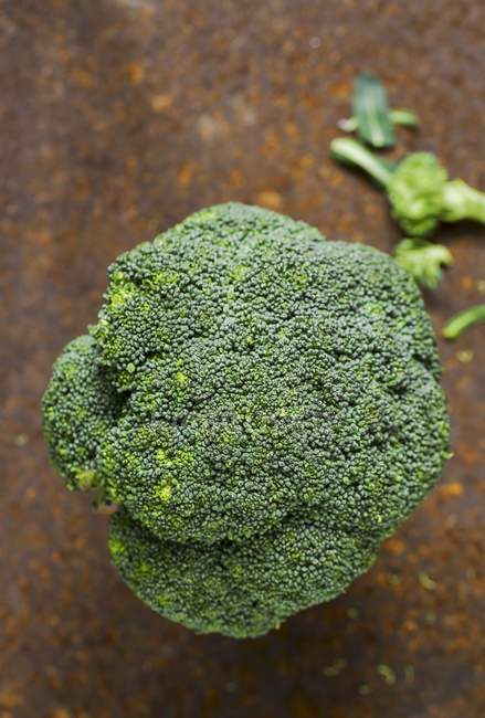 Fresh green Broccoli — Stock Photo