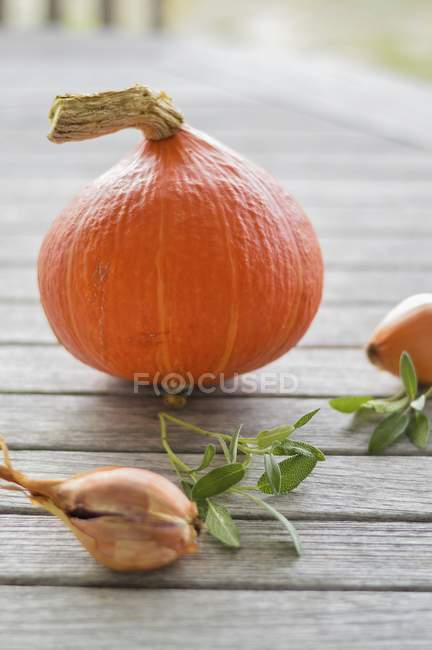 Fresh pumpkin and onions — Stock Photo