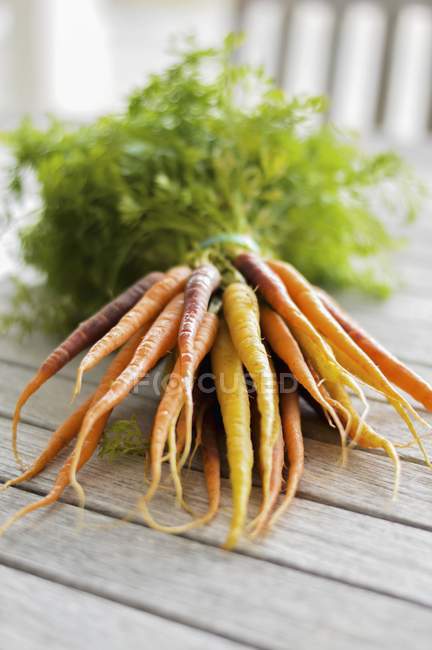 Bundle of colorful carrots — Stock Photo