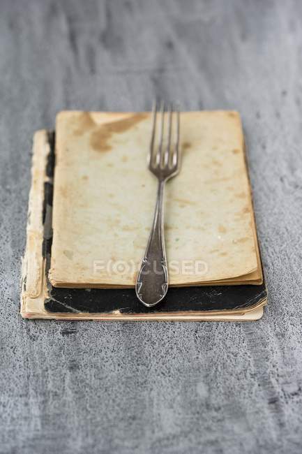 Vue rapprochée d'une fourchette sur un vieux livre — Photo de stock