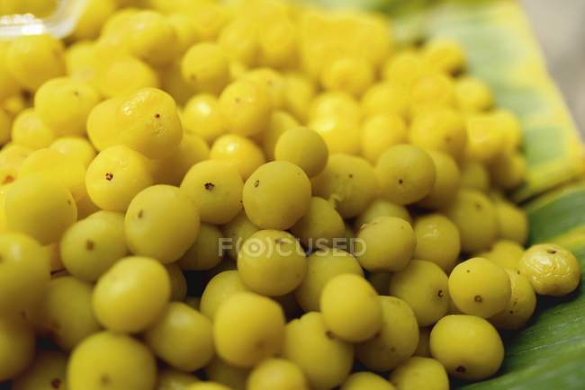 Fresh Thai tree gooseberries — Stock Photo