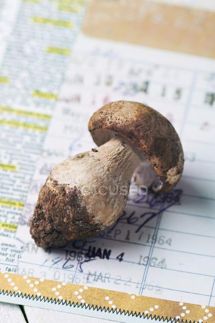 Closeup view of a Fresh Porcini mushroom on a newspaper — Stock Photo
