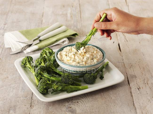 Cheese and chive dip — Stock Photo