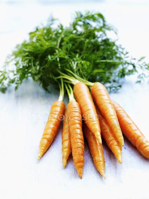Букет свіжої моркви — стокове фото