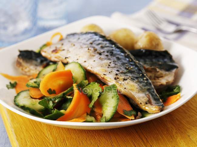 Makrele mit Möhren-Gurken-Salat — Stockfoto