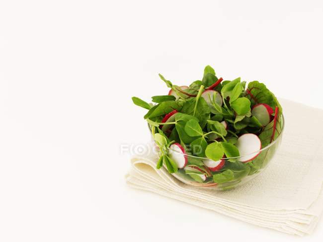 Radish salad with pea shoots — Stock Photo